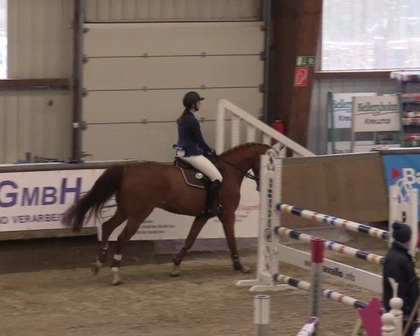 Reitturnier Kreuztal 2018