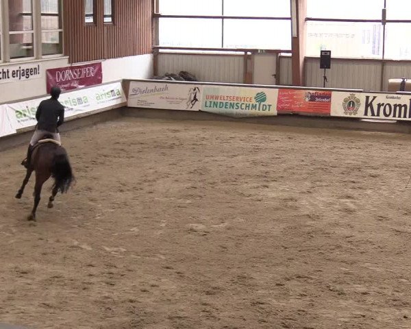 Reitturnier Kreuztal 2018