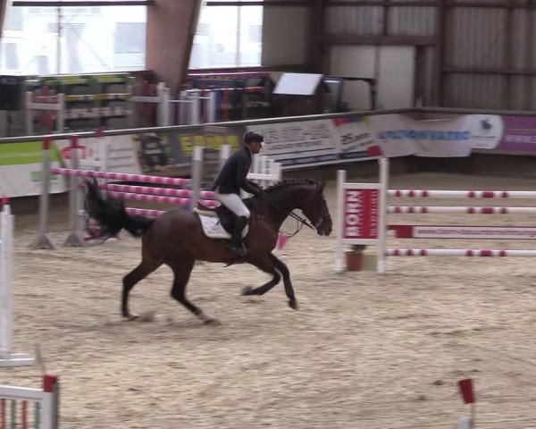 Reitturnier Kreuztal 2018