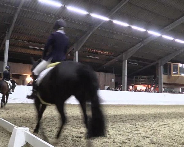 Reitturnier Greven 2018