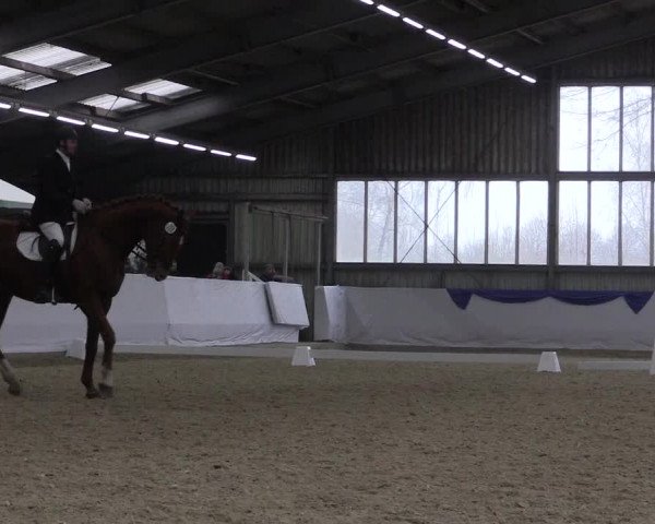 Reitturnier Greven 2018