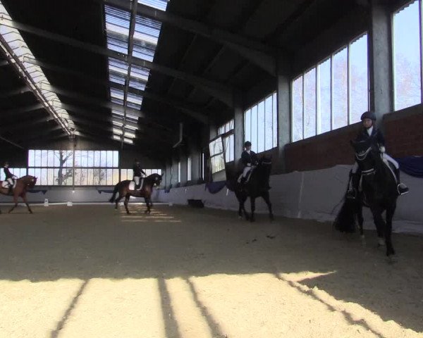 Reitturnier Greven 2018