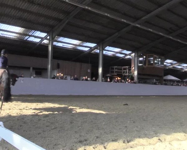 Reitturnier Greven 2018