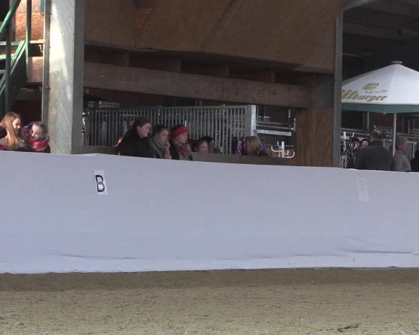 Reitturnier Greven 2018