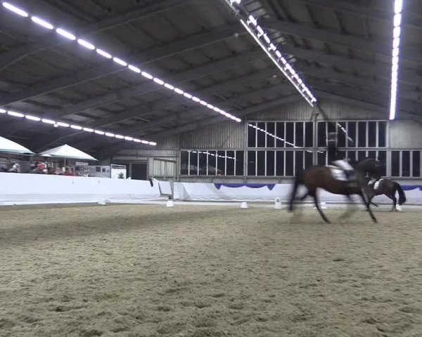 Reitturnier Greven 2018