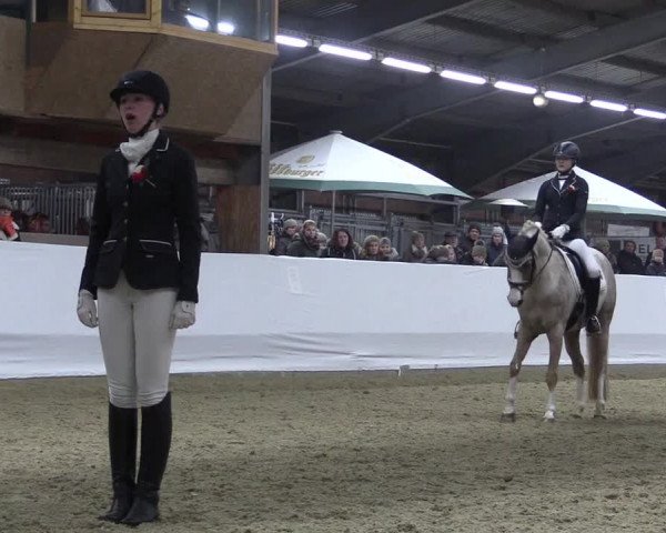 Reitturnier Greven 2018