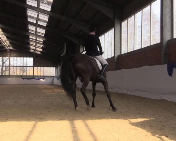 Reitturnier Greven 2018