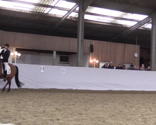 Reitturnier Greven 2018