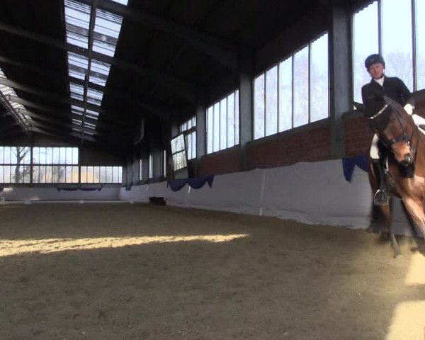 Reitturnier Greven 2018