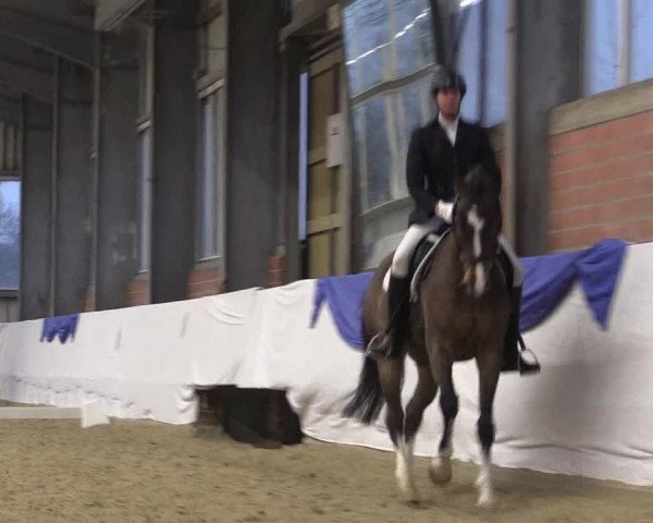 Reitturnier Greven 2018