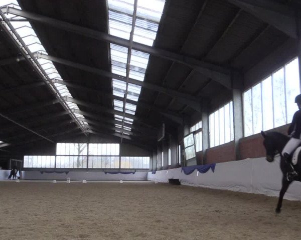 Reitturnier Greven 2018