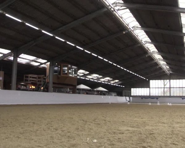Reitturnier Greven 2018