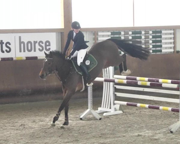 Reitturnier Dettingen 2018