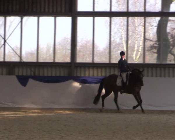 Reitturnier Greven 2018