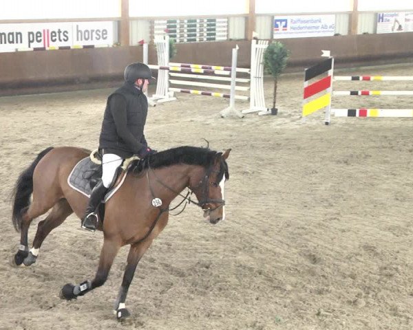 Reitturnier Dettingen 2018