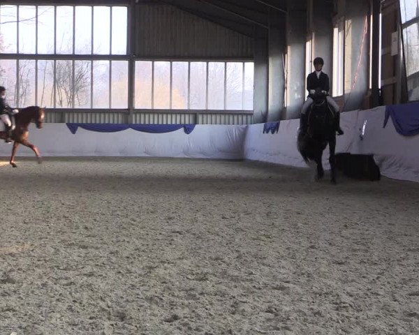 Reitturnier Greven 2018