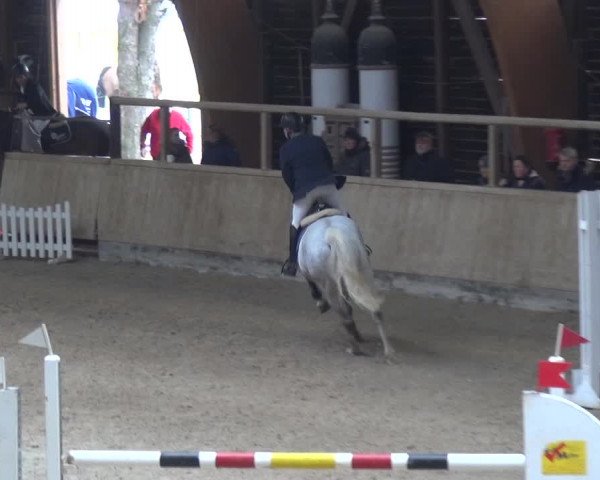 Reitturnier Heidelberg-Kirchheim 2018
