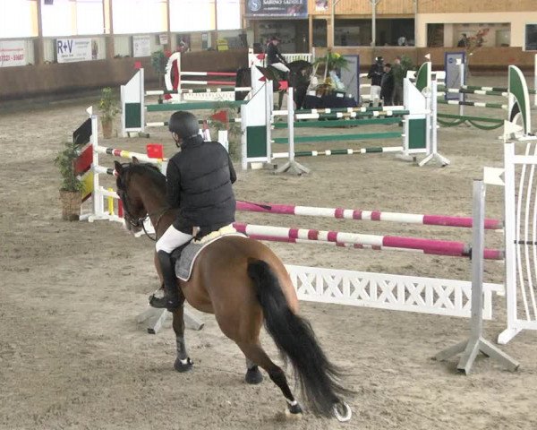 Reitturnier Dettingen 2018