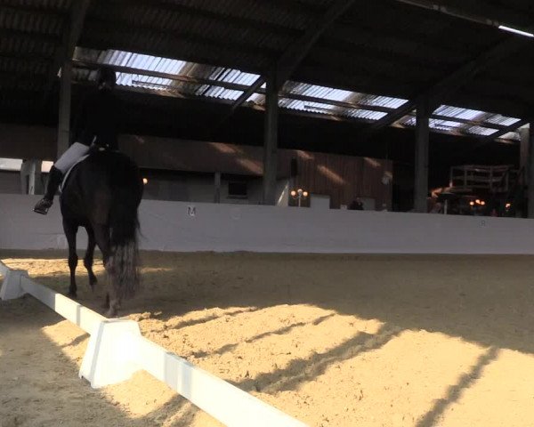 Reitturnier Greven 2018