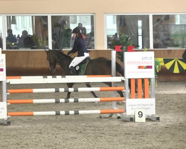 Reitturnier Dettingen 2018