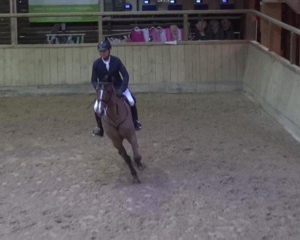 Reitturnier Heidelberg-Kirchheim 2018