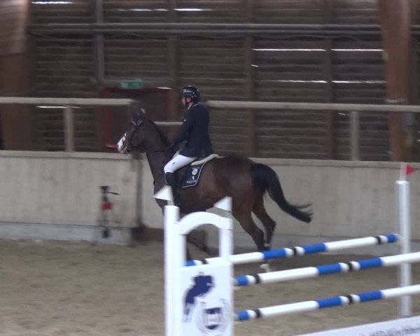 Reitturnier Heidelberg-Kirchheim 2018