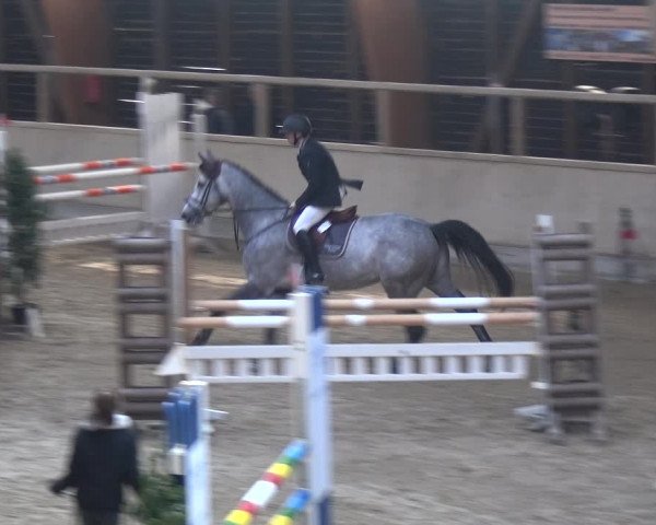 Reitturnier Heidelberg-Kirchheim 2018