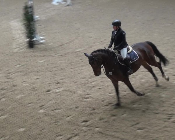 Reitturnier Heidelberg-Kirchheim 2018