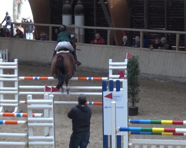 Reitturnier Heidelberg-Kirchheim 2018