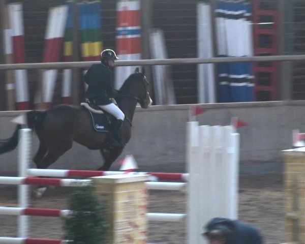 Reitturnier Heidelberg-Kirchheim 2018