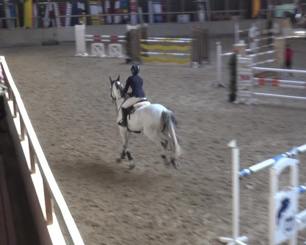 Reitturnier Heidelberg-Kirchheim 2018