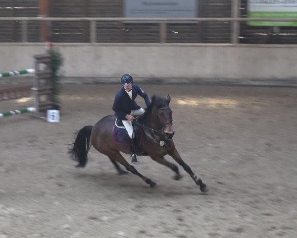 Reitturnier Heidelberg-Kirchheim 2018