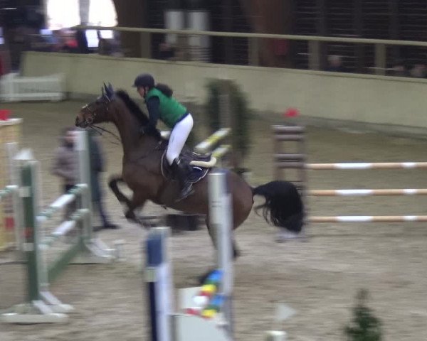 Reitturnier Heidelberg-Kirchheim 2018
