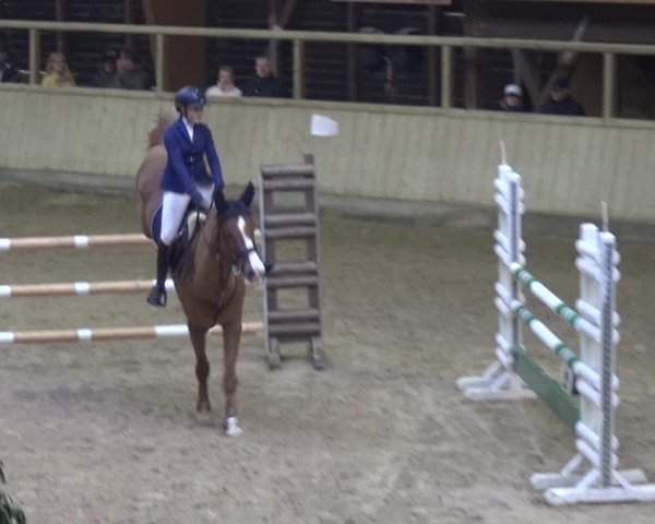 Reitturnier Heidelberg-Kirchheim 2018
