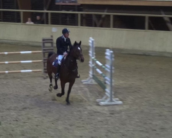Reitturnier Heidelberg-Kirchheim 2018