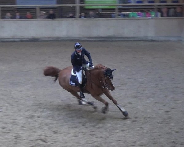 Reitturnier Heidelberg-Kirchheim 2018