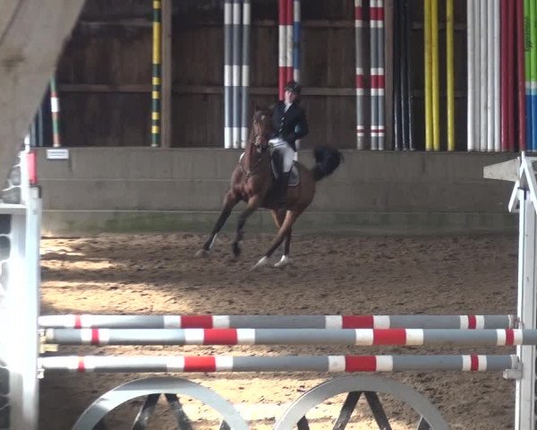 Reitturnier Hamburg-Hummelsbüttel 2018