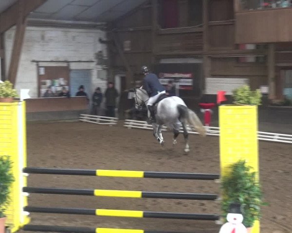 Reitturnier Hamburg-Hummelsbüttel 2018