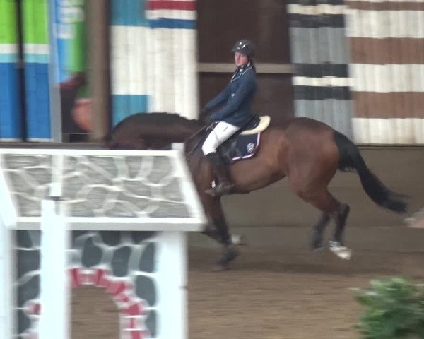 Reitturnier Hamburg-Hummelsbüttel 2018