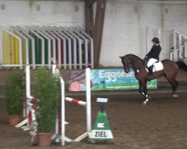 Reitturnier Hamburg-Hummelsbüttel 2018