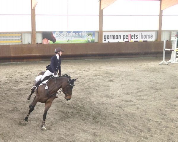 Reitturnier Dettingen 2018