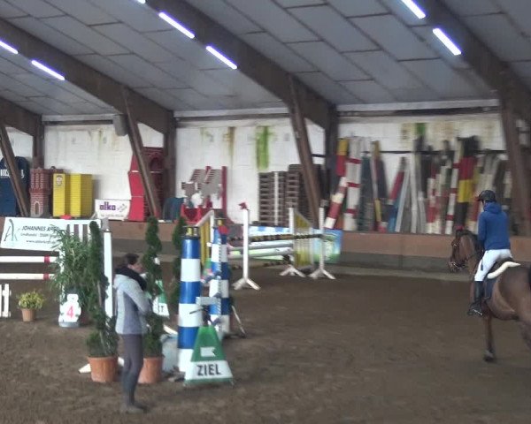 Reitturnier Hamburg-Hummelsbüttel 2018