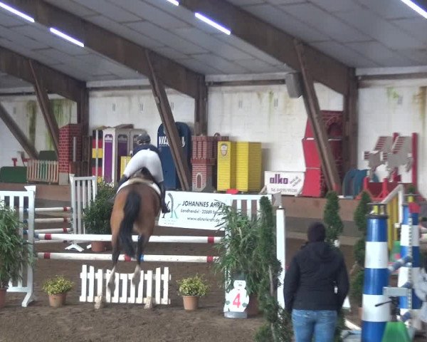 Reitturnier Hamburg-Hummelsbüttel 2018
