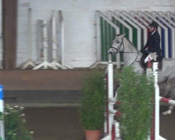 Reitturnier Hamburg-Hummelsbüttel 2018