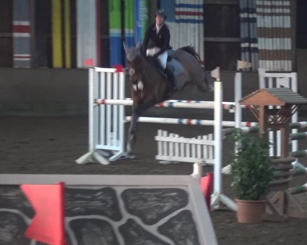 Reitturnier Hamburg-Hummelsbüttel 2018