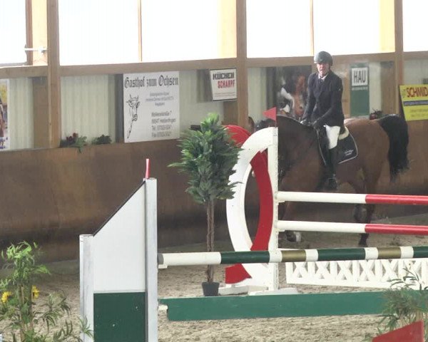 Reitturnier Dettingen 2018