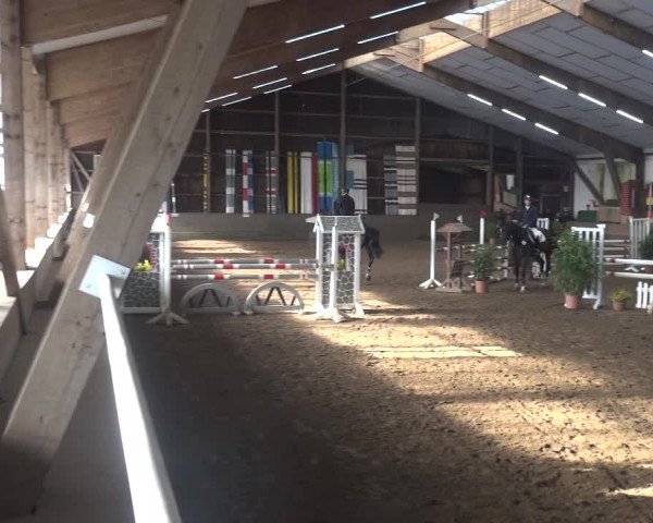 Reitturnier Hamburg-Hummelsbüttel 2018