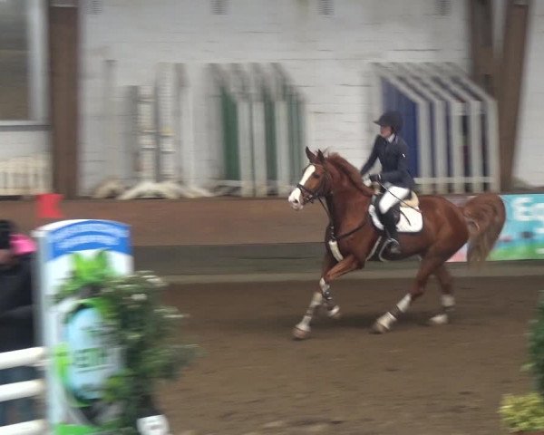 Reitturnier Hamburg-Hummelsbüttel 2018