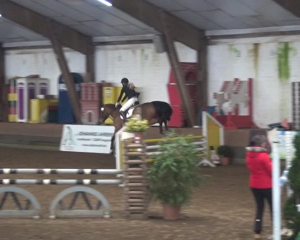 Reitturnier Hamburg-Hummelsbüttel 2018