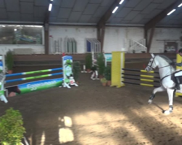 Reitturnier Hamburg-Hummelsbüttel 2018